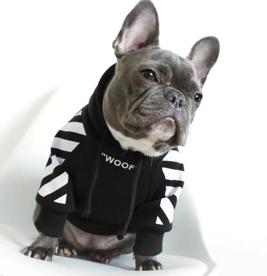 Thick Fleece Pet Hoodie for Fall and Winter Dogs