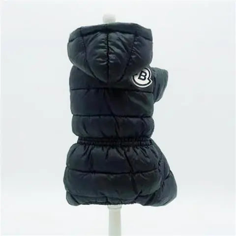 Winter Coats for Small Dogs: Teddy & Bichon Styles