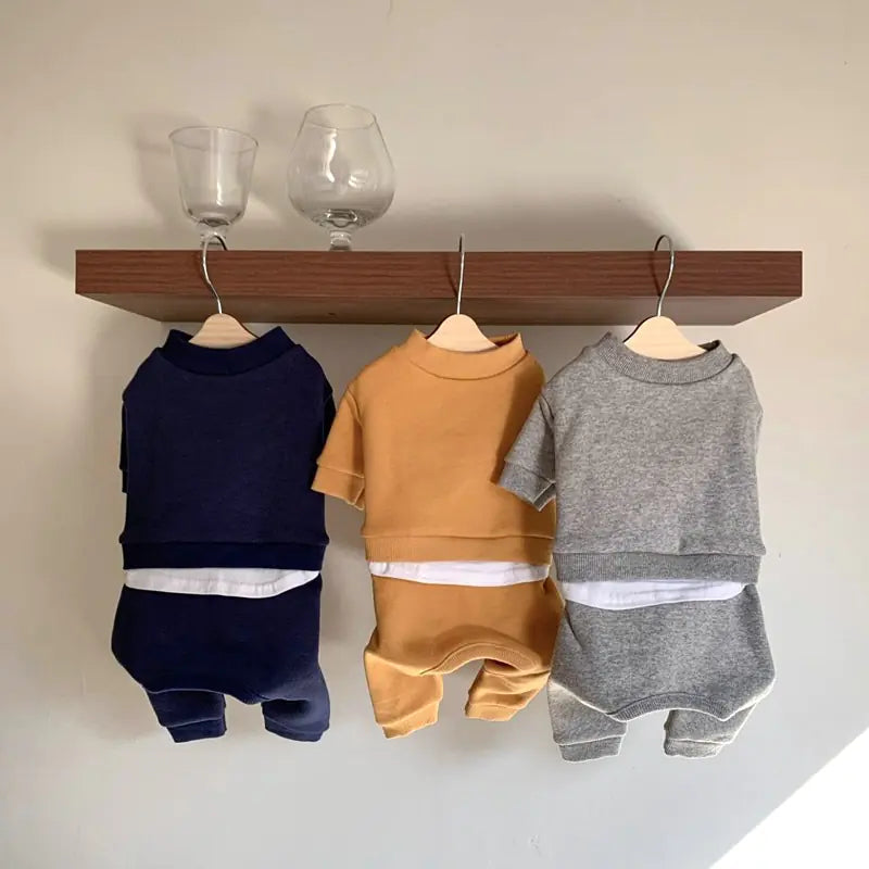 Pet Clothes for Small Dogs - Fall/Winter Collection