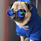 Woofwhite Fashion Bulldog Pet Hoodie for Fall/Winter