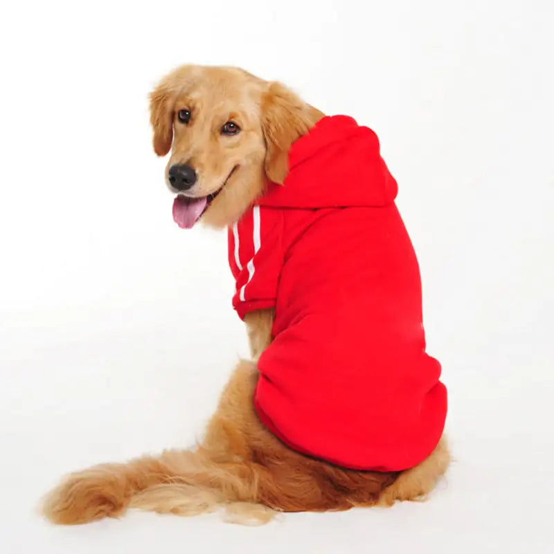 Dog Sweatshirt various colors