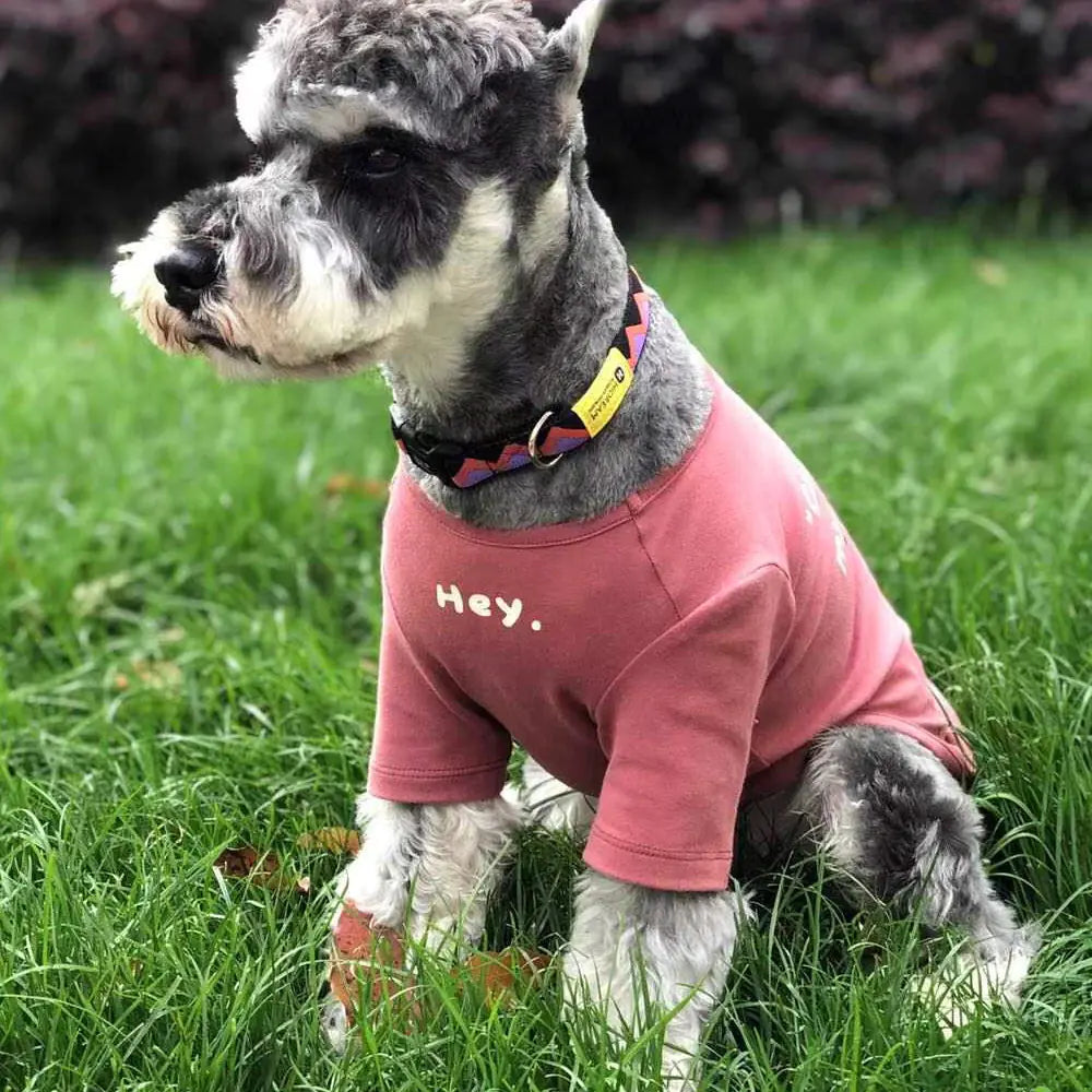 Printed Pet shirt(Hey ) design