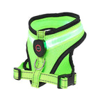 GlowPaws LED Dog Harness