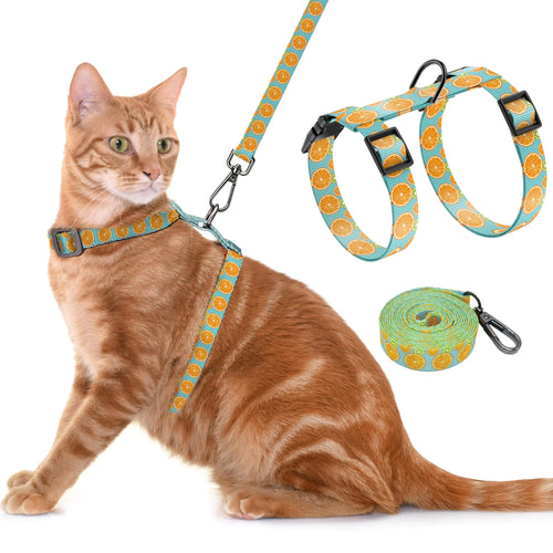 Adjustable Pet Harness and Leash Set