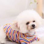 Pet Dog Rainbow Stripe Cotton Base Shirt for Fall/Winter