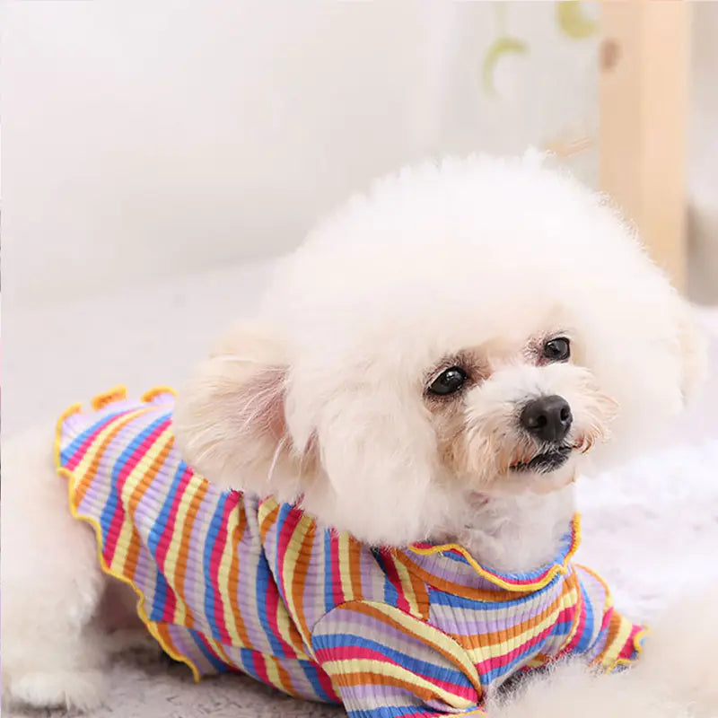Pet Dog Rainbow Stripe Cotton Base Shirt for Fall/Winter