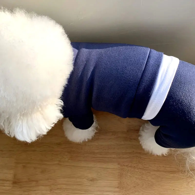 Pet Clothes for Small Dogs - Fall/Winter Collection