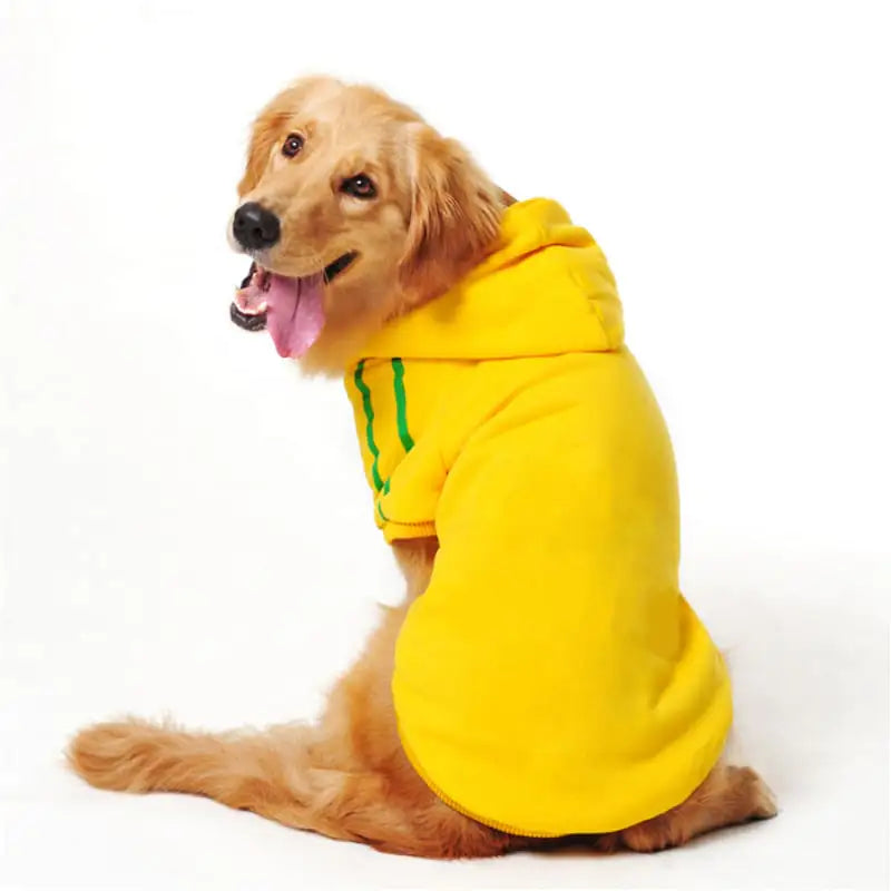 Dog Sweatshirt various colors