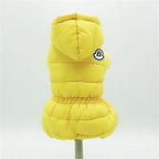 Winter Coats for Small Dogs: Teddy & Bichon Styles