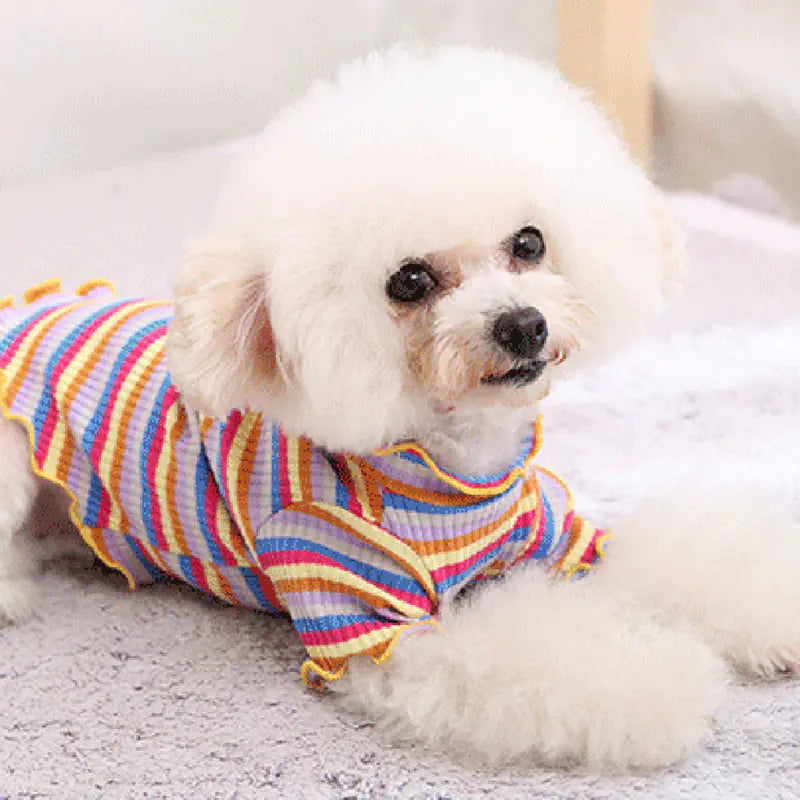 Pet Dog Rainbow Stripe Cotton Base Shirt for Fall/Winter