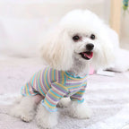 Pet Dog Rainbow Stripe Cotton Base Shirt for Fall/Winter