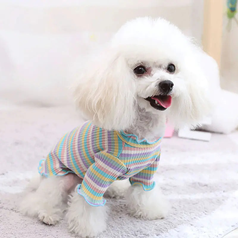 Pet Dog Rainbow Stripe Cotton Base Shirt for Fall/Winter