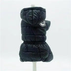 Winter Coats for Small Dogs: Teddy & Bichon Styles
