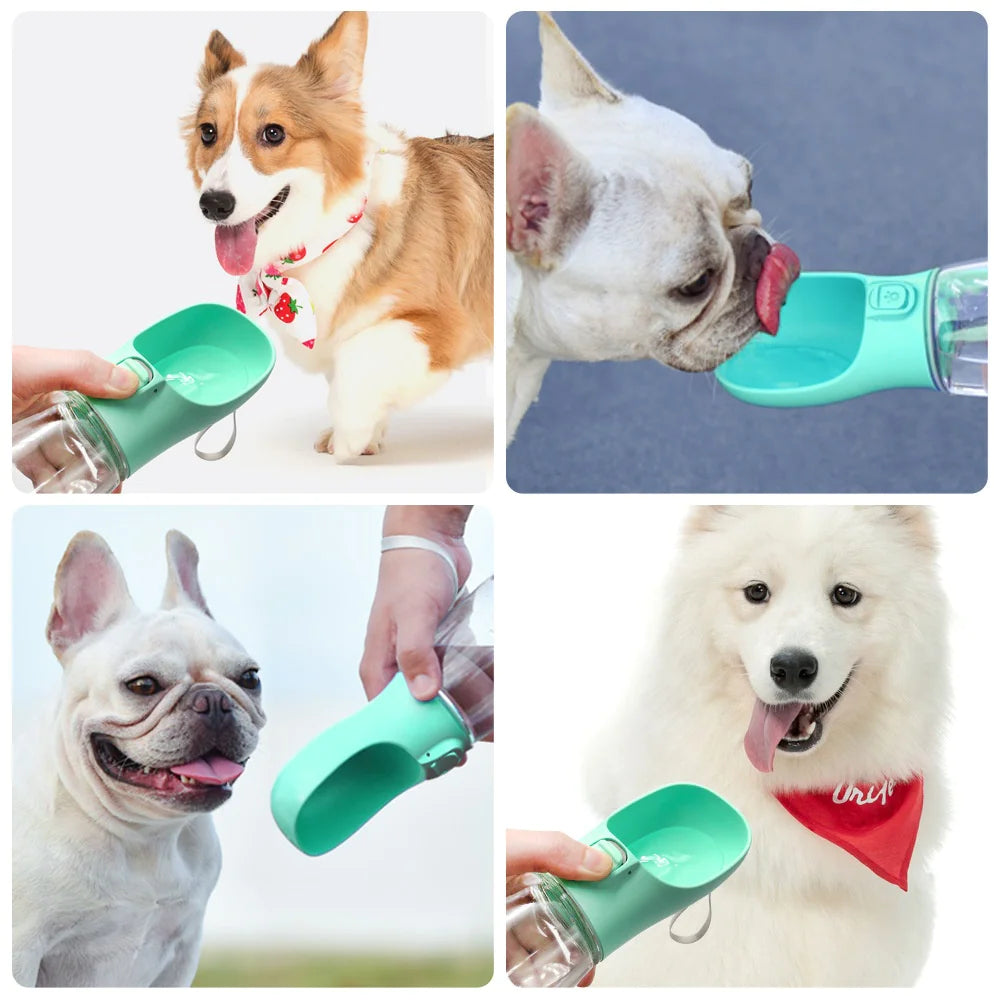 Portable Pet Water Bottle now in cool colors!!!
