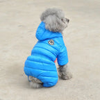 Winter Coats for Small Dogs: Teddy & Bichon Styles
