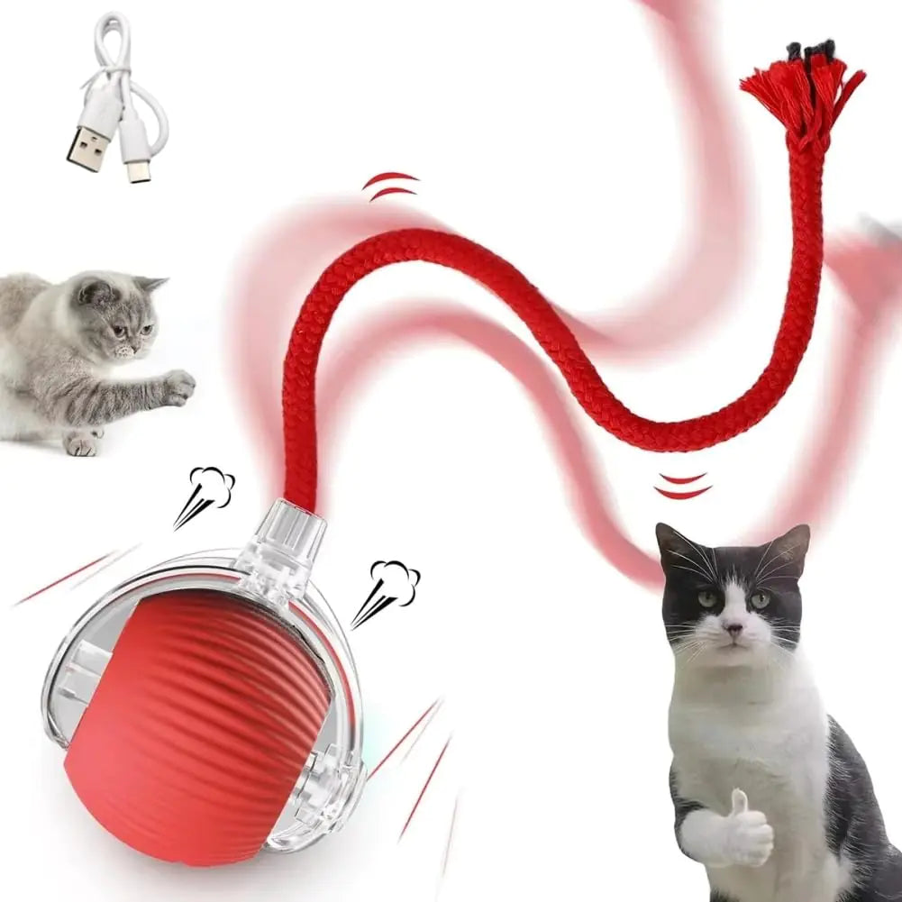 Interactive Rolling Cat Toys Ball