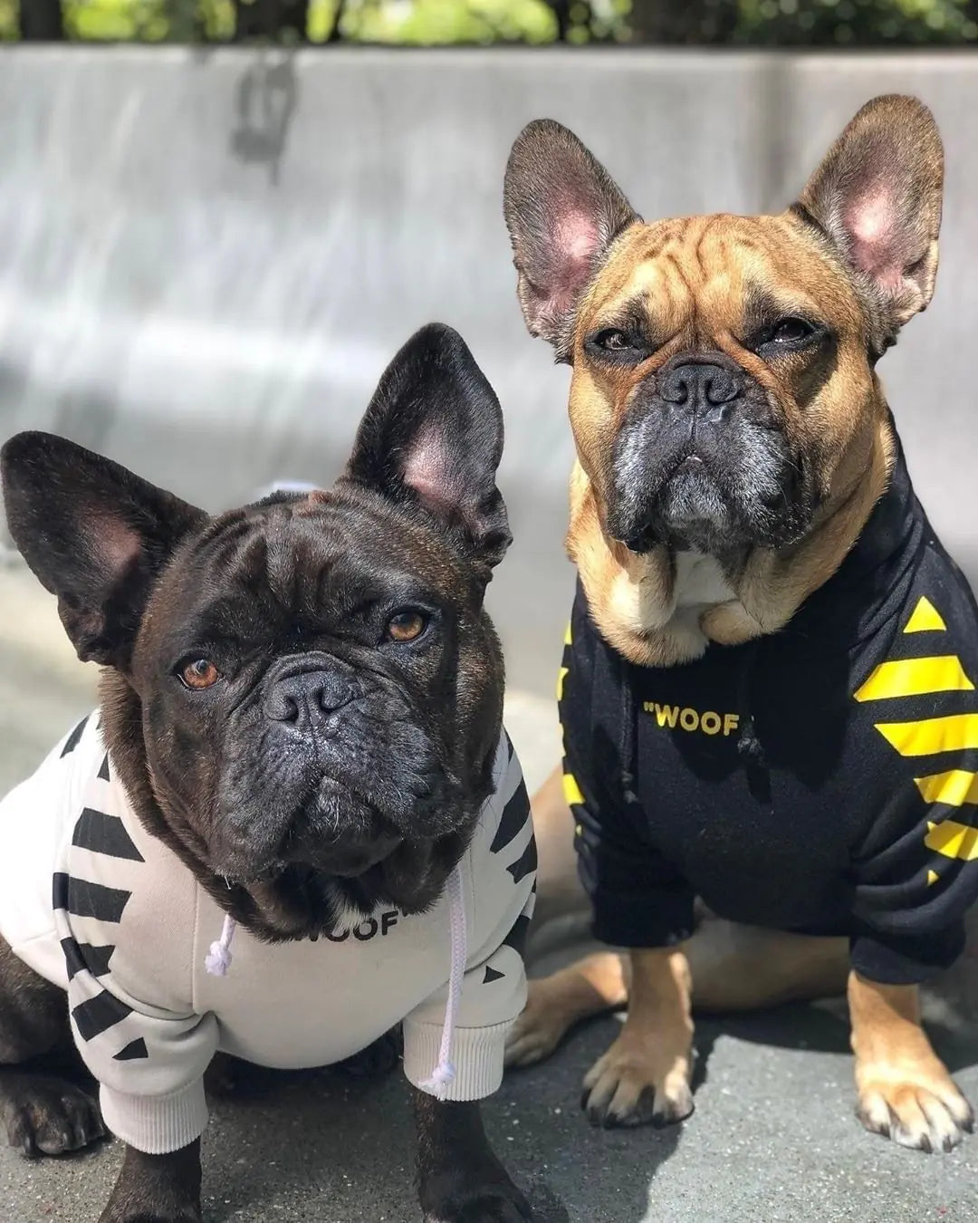 Thick Fleece Pet Hoodie for Fall and Winter Dogs