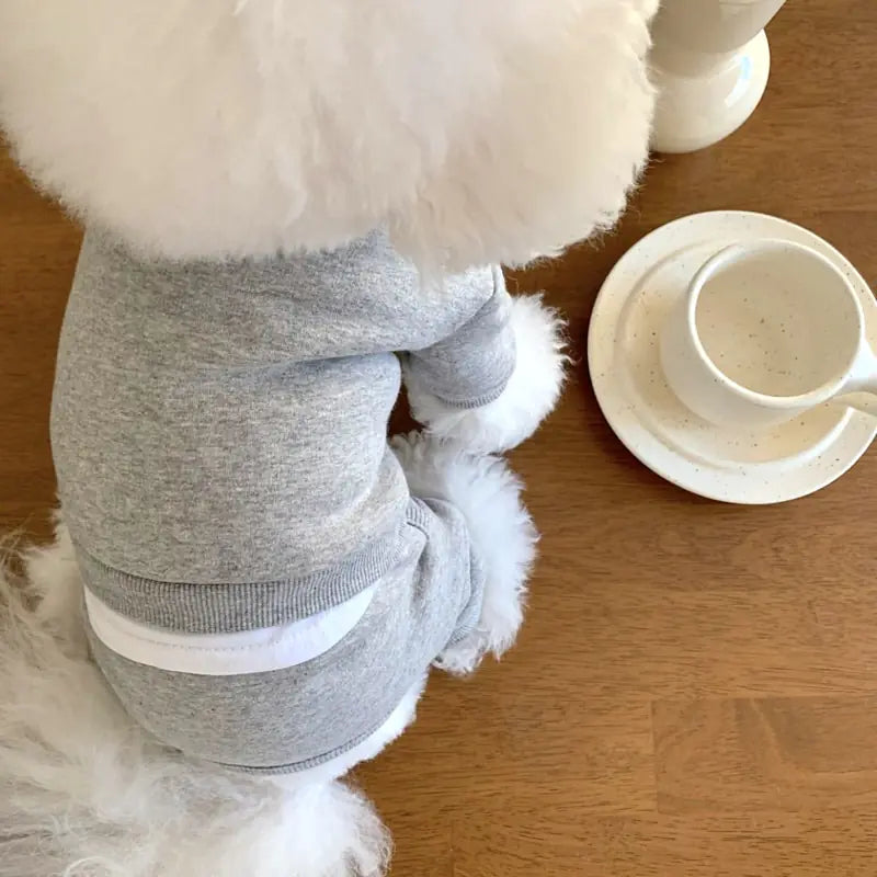 Pet Clothes for Small Dogs - Fall/Winter Collection