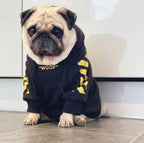 Thick Fleece Pet Hoodie for Fall and Winter Dogs