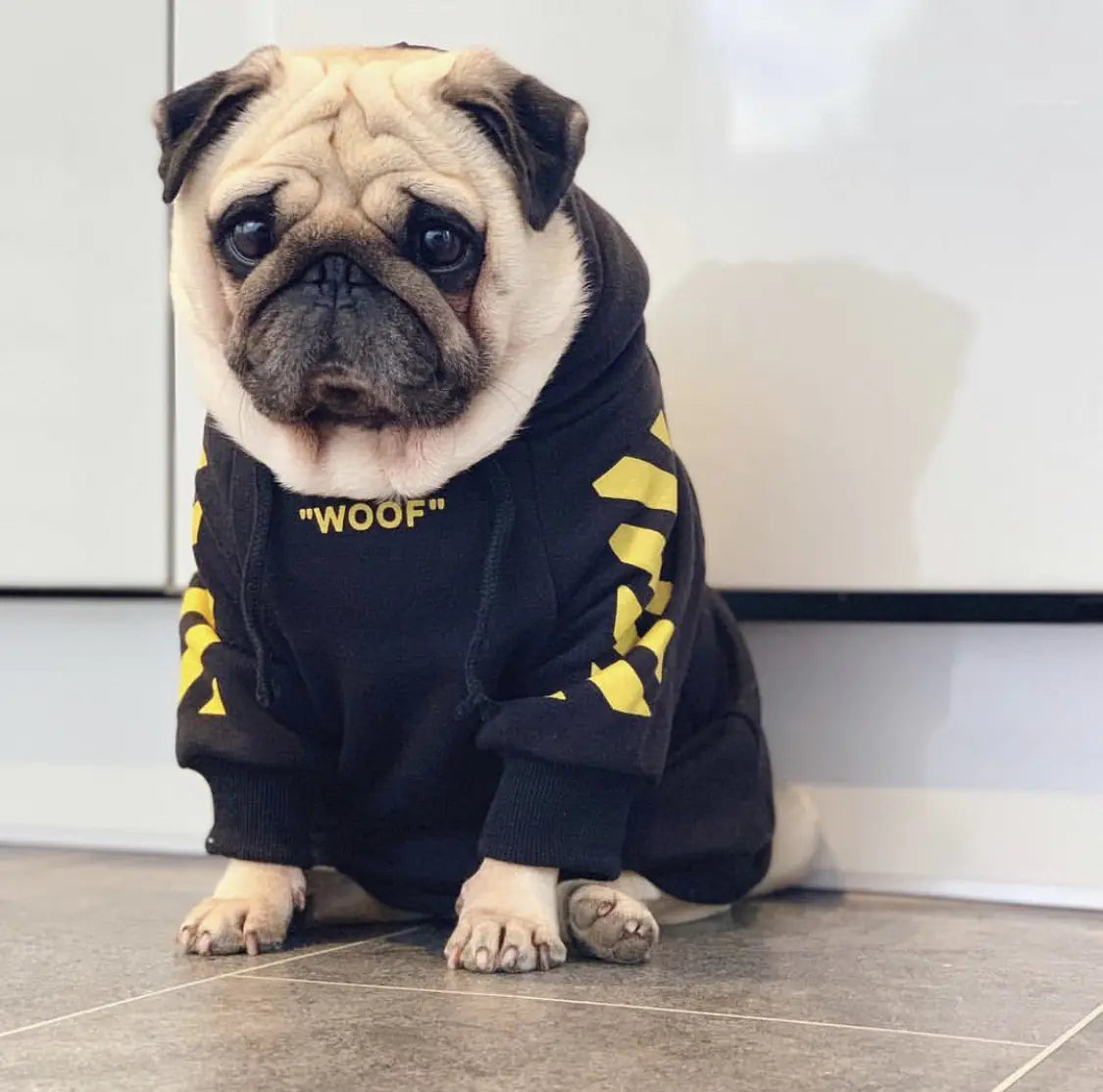 Thick Fleece Pet Hoodie for Fall and Winter Dogs