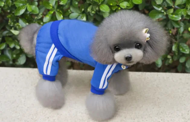 Track suit for pets(many colors)