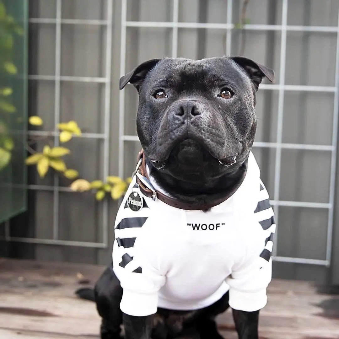 Thick Fleece Pet Hoodie for Fall and Winter Dogs