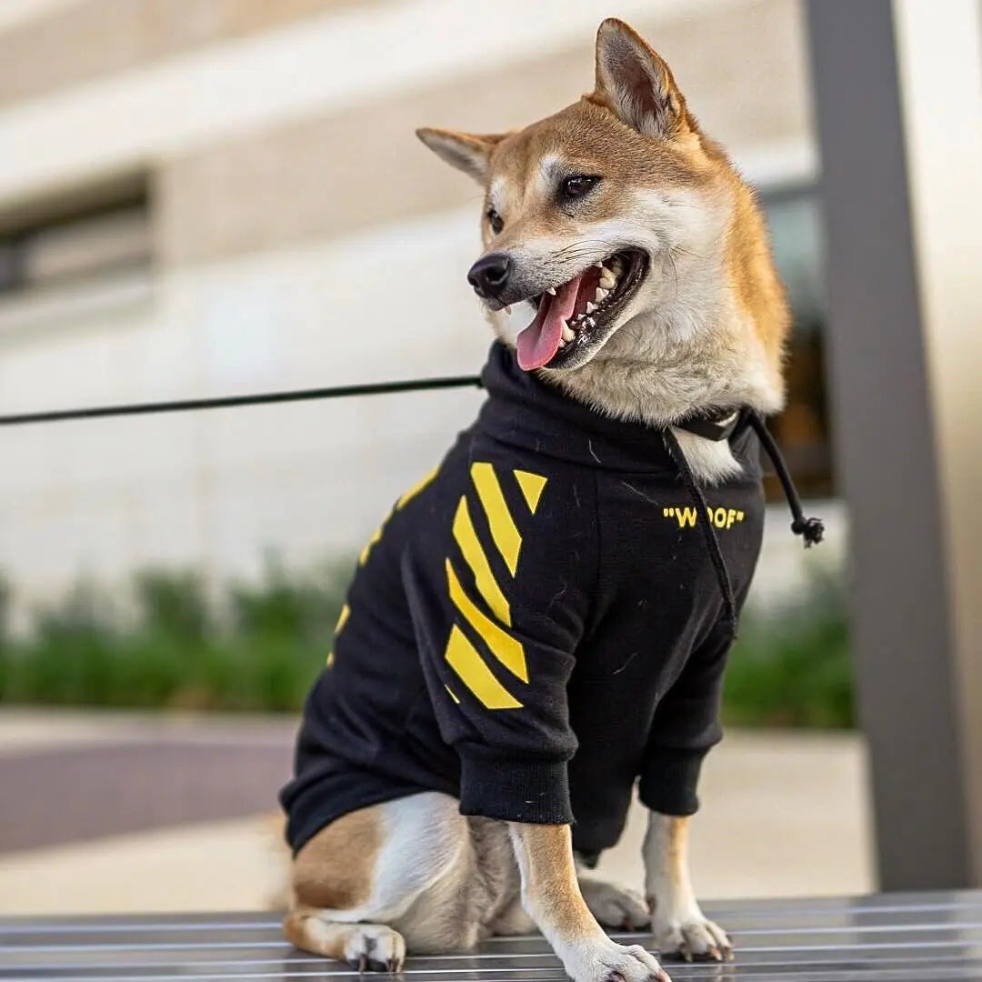 Thick Fleece Pet Hoodie for Fall and Winter Dogs