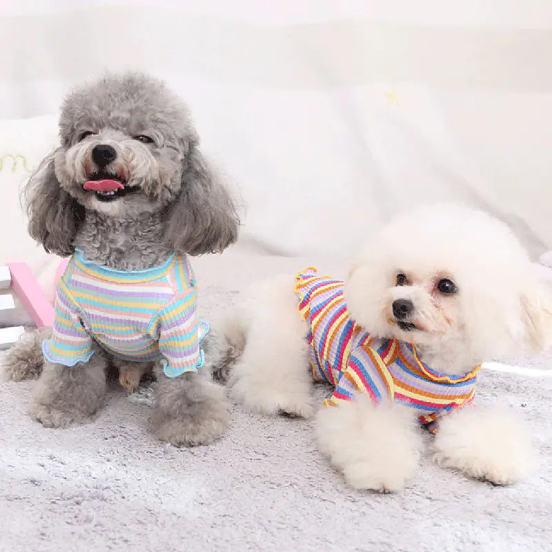 Pet Dog Rainbow Stripe Cotton Base Shirt for Fall/Winter