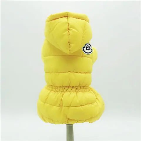 Winter Coats for Small Dogs: Teddy & Bichon Styles