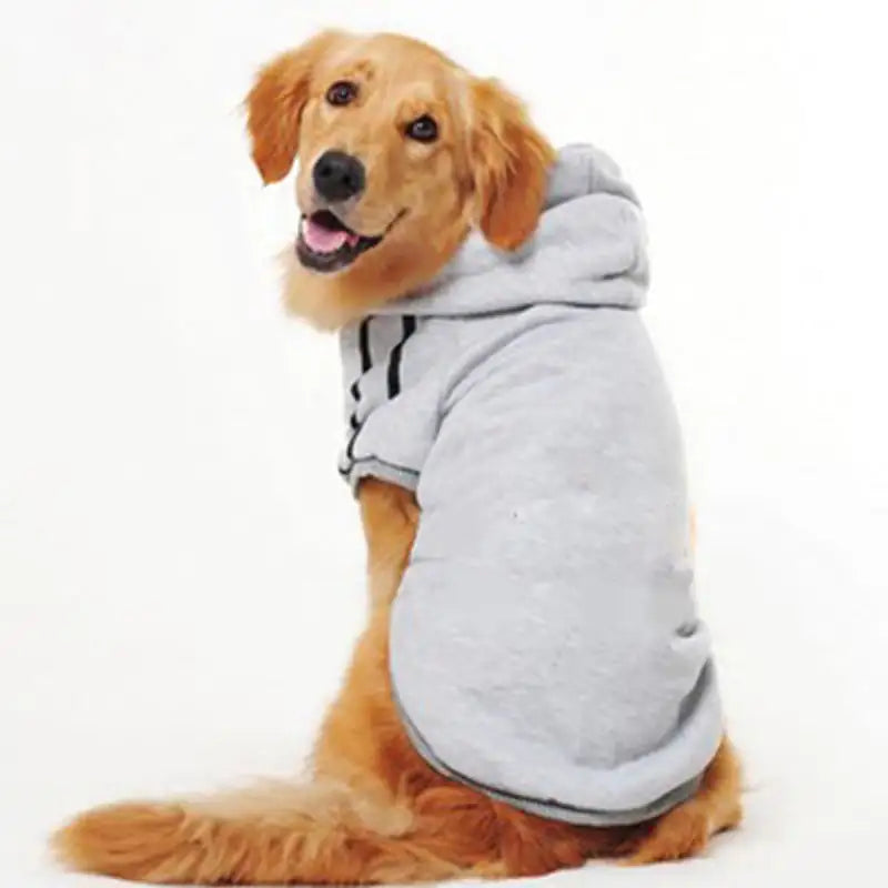 Dog Sweatshirt various colors