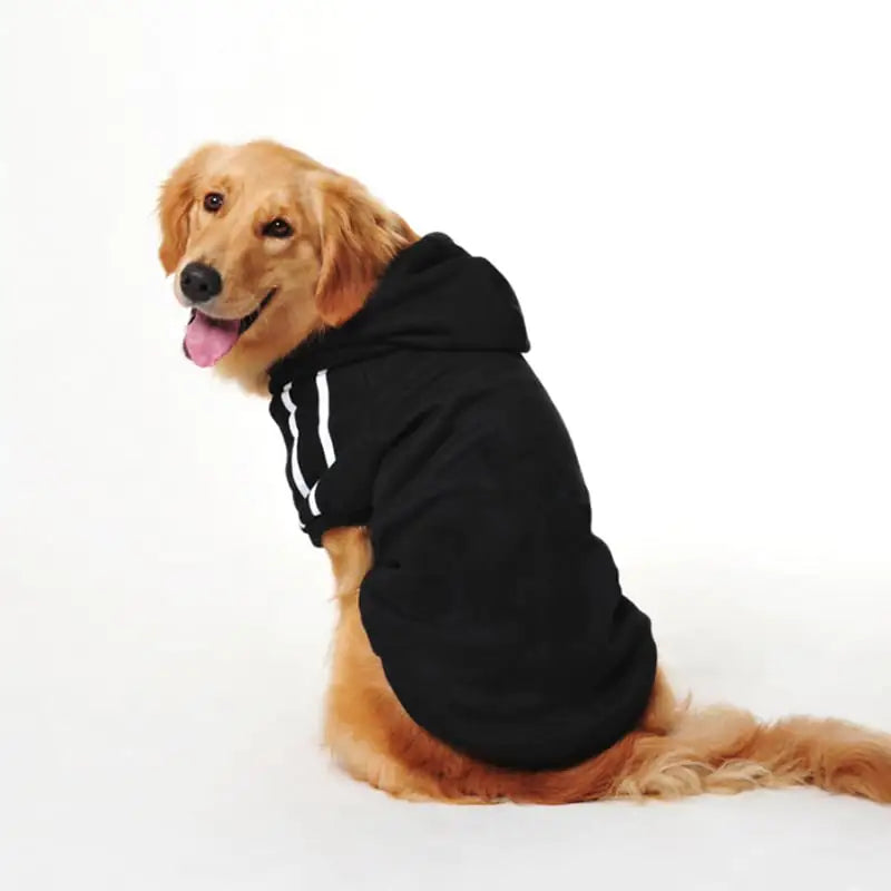 Dog Sweatshirt various colors