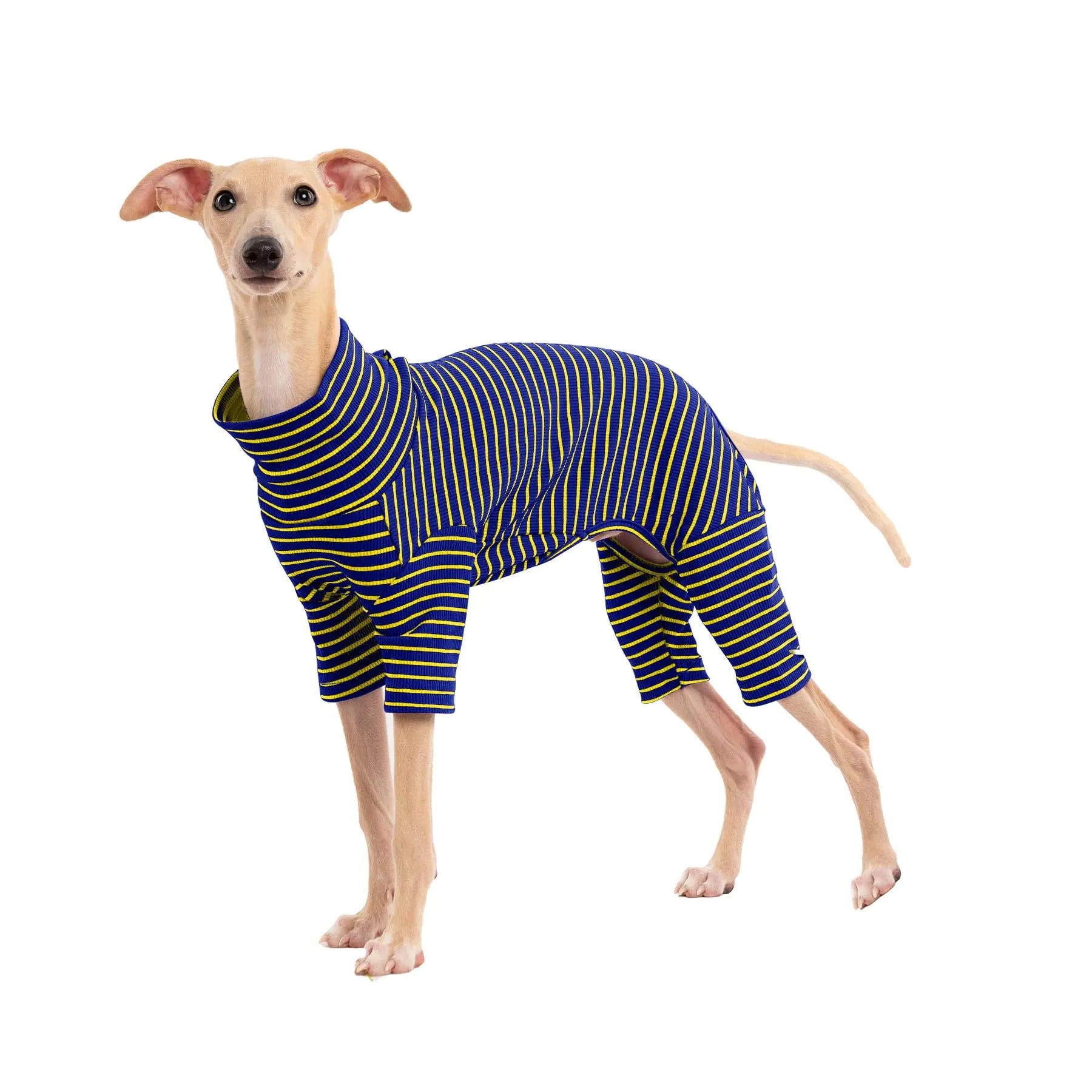 Dog Sweaters for Small Dogs Girls Boys Striped Pet Sweaters for Fall Winter Dog Clothes Turtleneck Pullover Knitwear for Small Medium Large Dogs