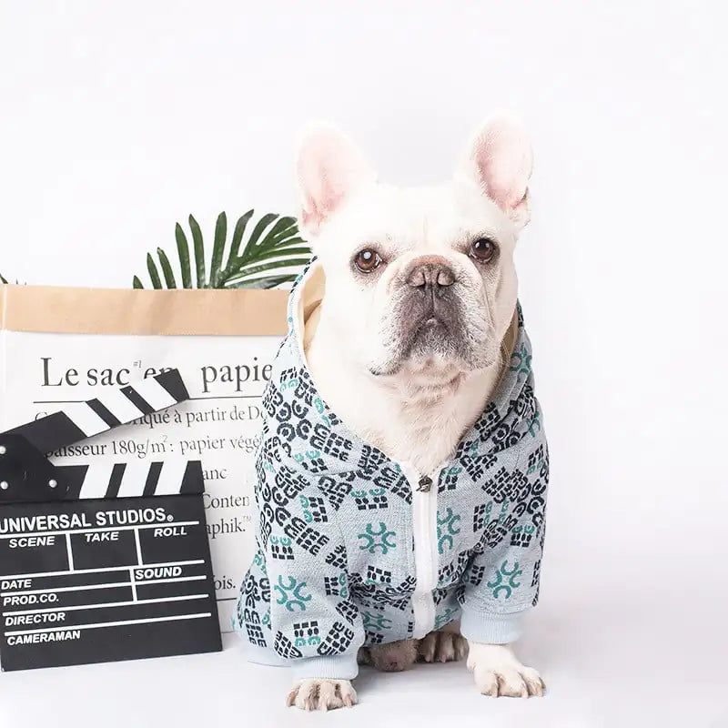 Teddy Dog Print Pattern Pet Clothing