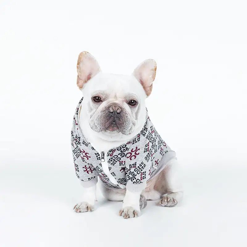Teddy Dog Print Pattern Pet Clothing