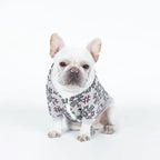 Teddy Dog Print Pattern Pet Clothing