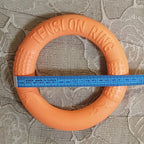 Interactive EVA Training Ring