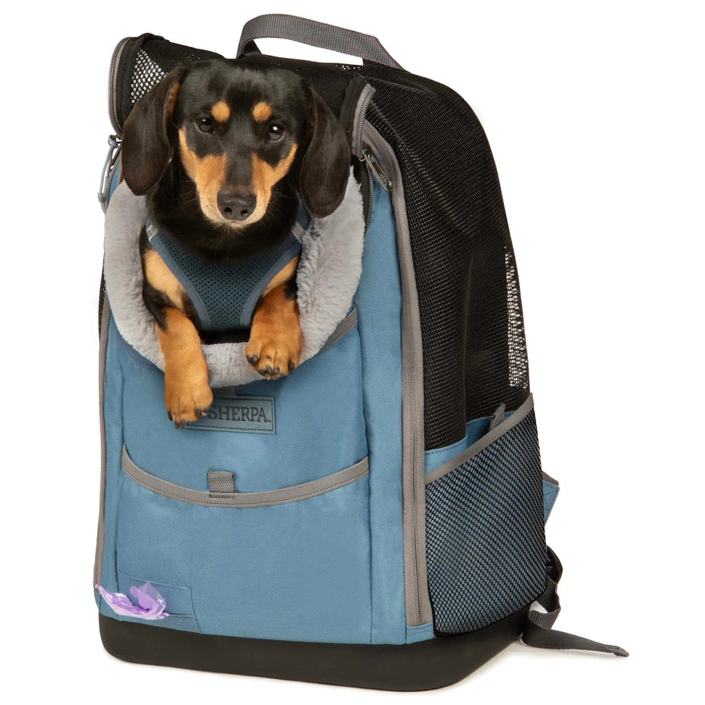 Sherpa Blue Elevation Pet Backpack for Cats & Dogs Medium