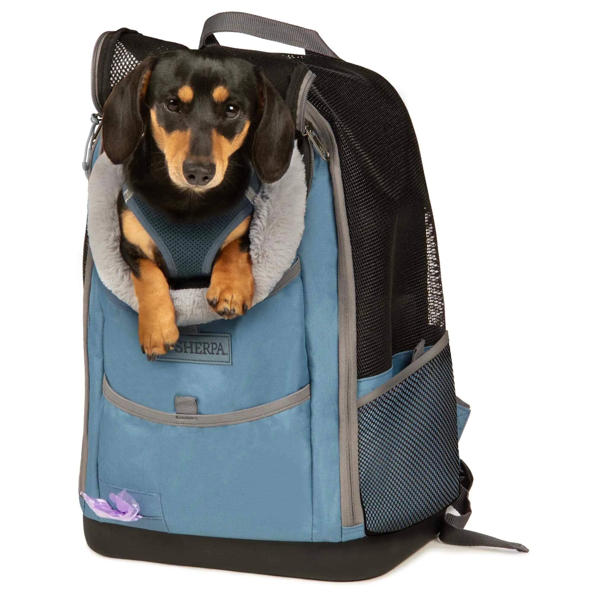 Sherpa Blue Elevation Pet Backpack for Cats & Dogs Medium