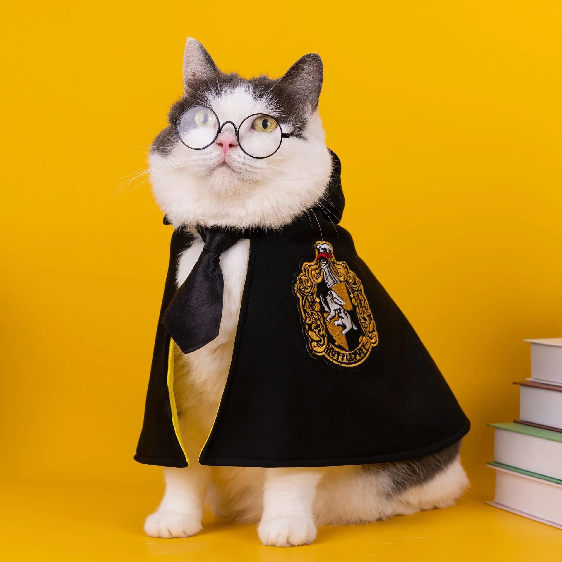 Pet Halloween Magic Cape Outfit