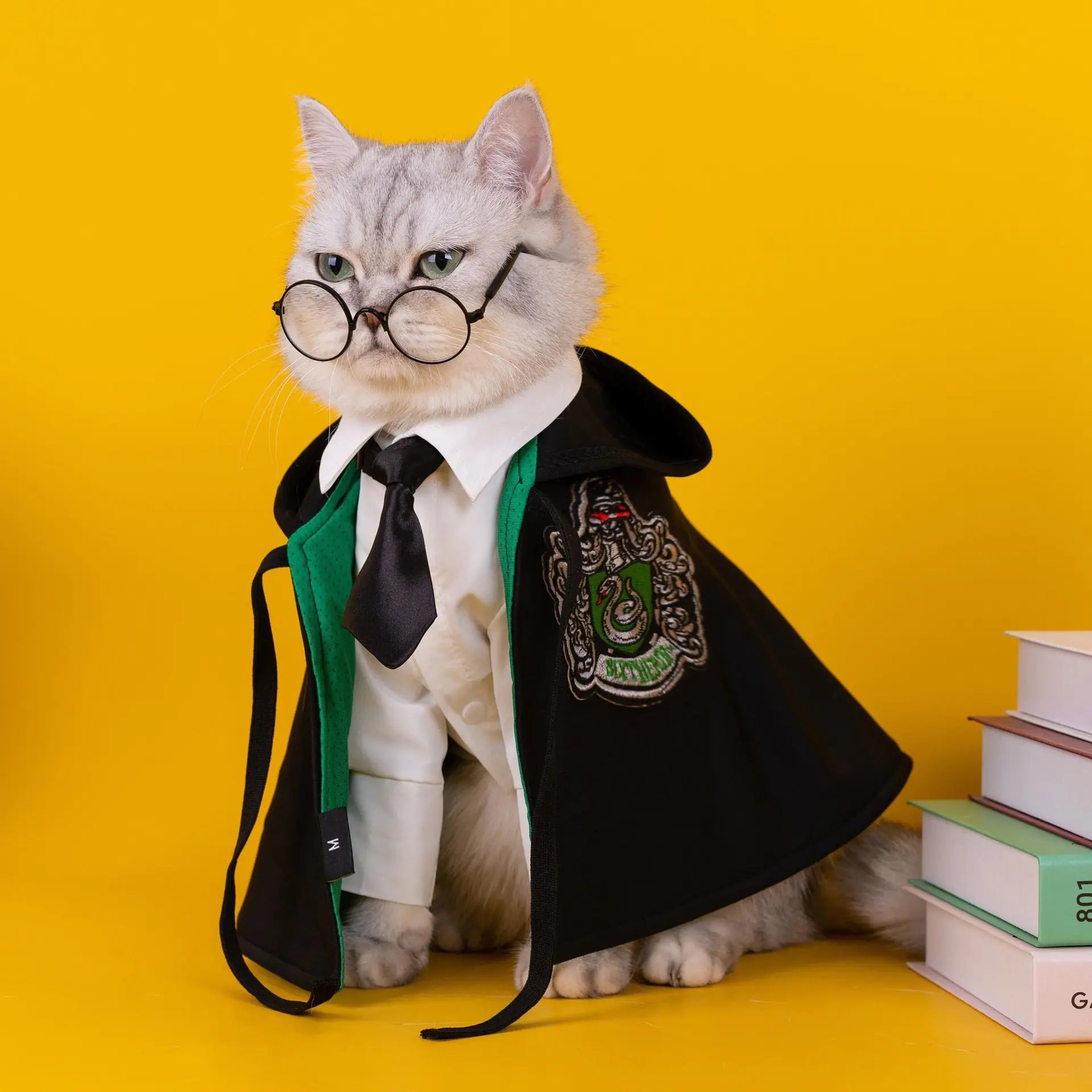 Pet Halloween Magic Cape Outfit